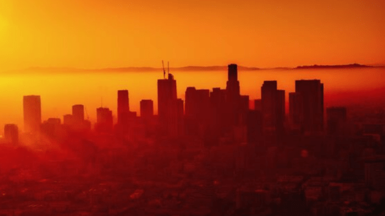 The Economy, Society Or The Environment – Which Is The Driver?